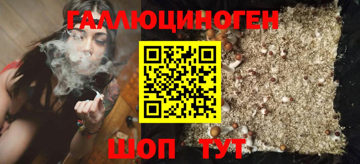 Галлюциногенные грибы мицелий  Псилоцибиновые грибы GOLDEN TEACHER  наркошоп  Сорочинск  Вход с VPN 